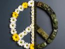 Collegno, M5S: "Sul riarmo il Consiglio comunale approva tutto e il contrario di tutto" Collegno, M5S: "Sul riarmo il Consiglio comunale approva tutto e il contrario di tutto"