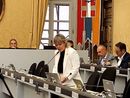 L'assessore Chiarelli L'assessore Chiarelli