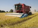 Piano per la qualità dell'aria: "In assenza di modifiche a rischio il settore agricolo" Piano per la qualità dell'aria: "In assenza di modifiche a rischio il settore agricolo"