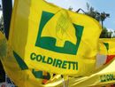 Coldiretti Piemonte lancia il manifesto delle priorità per l'agricoltura in vista delle elezioni