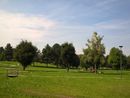 Parco porporati a Grugliasco torna ad ospitare lo Sport Day