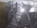 Spaccata con furto in un'azienda di Grugliasco [VIDEO]