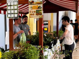 A Pianezza si fa il punto sui lavori al Dalmasso