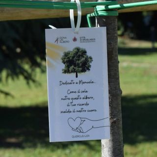 A Grugliasco c'è ancora tempo per "Dona un albero 2026"