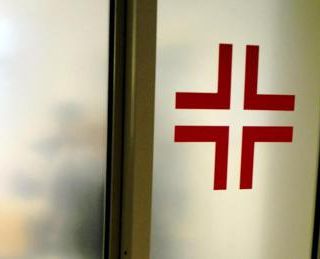 Treviso, bambino di 3 anni morso al volto da cane di famiglia: è grave Treviso, bambino di 3 anni morso al volto da cane di famiglia: è grave