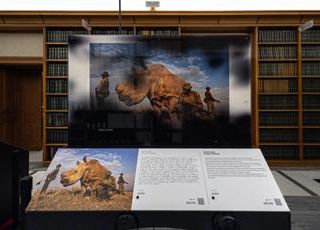 'World Unseen' a Roma, esposizione che ridefinisce esperienza fotografica