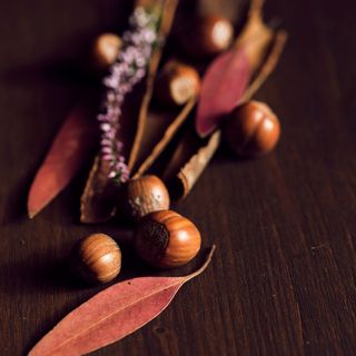 Le 3 migliori ricette salate con la crema di nocciole