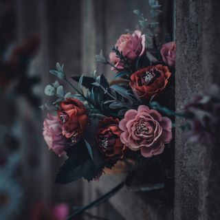 Athena Onoranze Funebri: servizi funerari economici a Torino e provincia