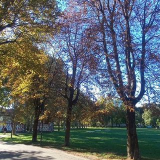 Grugliasco, nuovo appuntamento con “RigeneriAmo i Parchi”