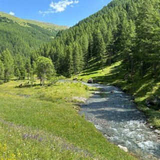 Settimana green e &quot;Green wall&quot;: il Des Ambrois &quot;fa la scelta giusta&quot; con docenti e studenti, dialogando con il territorio valsusino