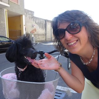 Cane che abbaia non morde… ma disturba i vicini di casa