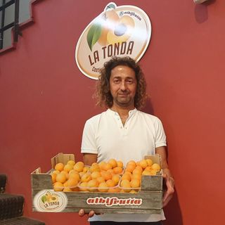 Flavio Lovera, direttore di Albifrutta, con l'albicocca Tonda di Costigliole Saluzzo
