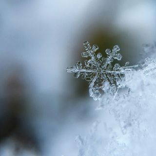 Foto di Aaron Burden - tramite Unsplash