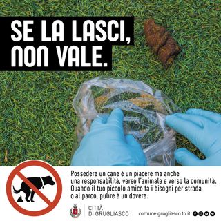 grugliasco pulita