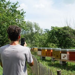 Le scuole di Torino e provincia vanno in gita di fine anno "virtuale"