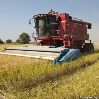 Piano per la qualità dell'aria: "In assenza di modifiche  a rischio il settore agricolo"