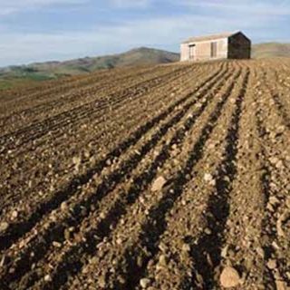 Agricoltura, aperto il bando regionale da 2 milioni di euro per migliorare le aziende agricole
