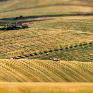 Psr 2014-2020: il Piemonte è la regione con più fondi erogati per il mese di aprile