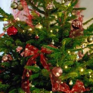 albero di Natale