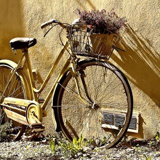 Settimana europea della mobilità: ecco le iniziative per il Comune di Grugliasco