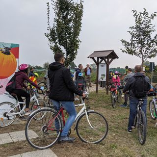 persone in bicicletta