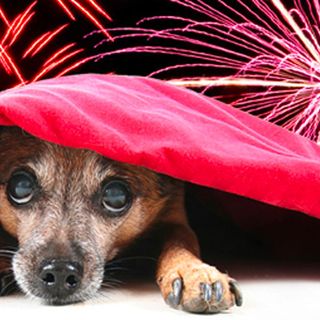 Grugliasco dice no ai botti di Capodanno
