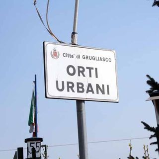 orti urbani grugliasco