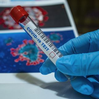 Covid Piemonte: contagi in aumento, oltre 4 mila nuovi casi e due decessi nelle ultime 24 ore