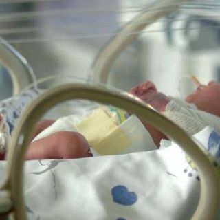 neonato in incubatrice