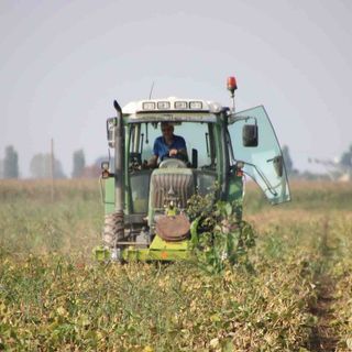 Agricoltura, in Piemonte aperto il bando da 9,2 milioni per la riduzione delle emissioni di gas serra e ammoniaca