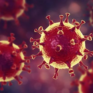 il coronavirus Covid-Sars-19