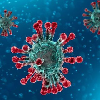 Coronavirus: ancora tre persone guarite a Torino, mentre altre 659 aspettano il secondo tampone negativo