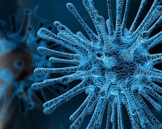 Coronavirus, in Piemonte 111 nuovi contagiati, la metà (66) a Torino. I guariti sono 216