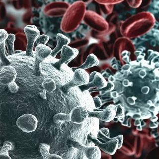 Il Coronavirus resta stabile: 14 guariti in un giorno, nessun decesso e 16 nuovi positivi