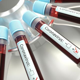 Coronavirus, zero morti nelle ultime 24 ore in Piemonte: i ricoveri calano ulteriormente