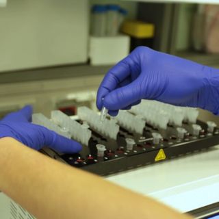 Coronavirus: oggi nessun decesso in Piemonte, le terapie intensive sempre più vuote