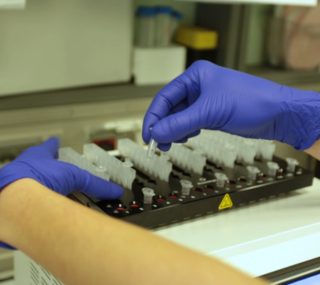 provette in laboratorio