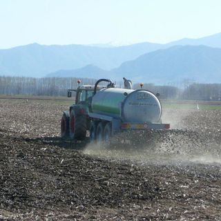 Energia e combustibile dai liquami agricoli: da Novara l’idea per realizzare un progetto pilota