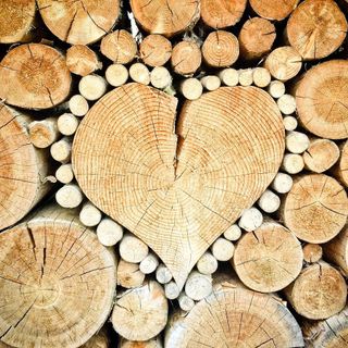 Nasce a Woody 2024 l’associazione “Cluster Legno Piemonte”