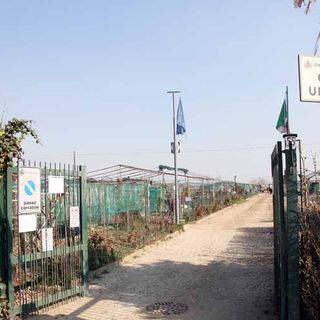 Grugliasco, nuova associazione per gli orti urbani: c'è tempo fino al 15 ottobre