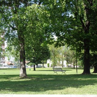 parco pineta grugliasco