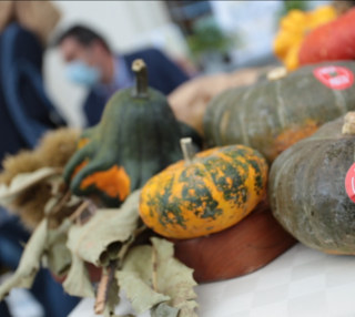 Autunno con Gusto non si ferma, a Piozzo è tempo di &quot;Zucca in cascina&quot;