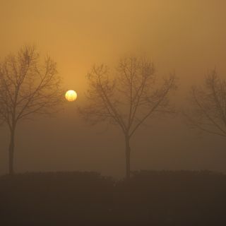 Meteo, su Torino e provincia una settimana mite, ma da sabato potrebbe peggiorare