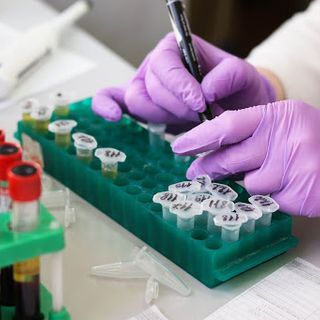 Effettuati 34 mila tamponi nelle Rsa piemontesi: positivo un anziano su quattro, quasi 8 mila i casi totali