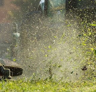 Taglia erba in azione