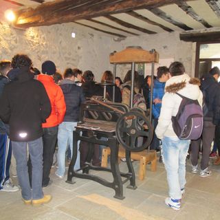 Coronavirus, le guide turistiche scrivono alla Regione: &quot;Niente aiuti a fondo perduto: proponiamo uno scambio&quot;