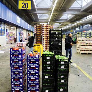 Raccolta alimentare Caat