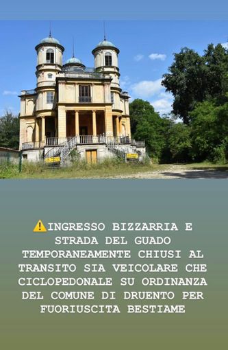 Cinque tori da rodeo fuggono da una cascina: La Mandria chiude per precauzione il cancello di Bizzarria