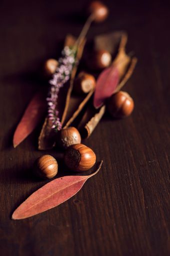 Le 3 migliori ricette salate con la crema di nocciole Le 3 migliori ricette salate con la crema di nocciole