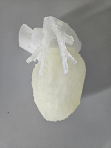 foto intervento foto intervento